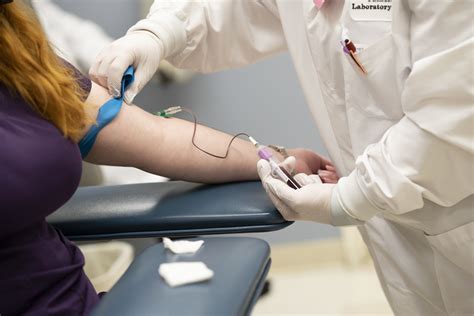 Phlebotomy Program Career Outlook