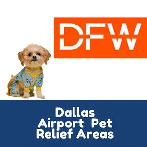 Tips for Using DTW Pet Relief Areas