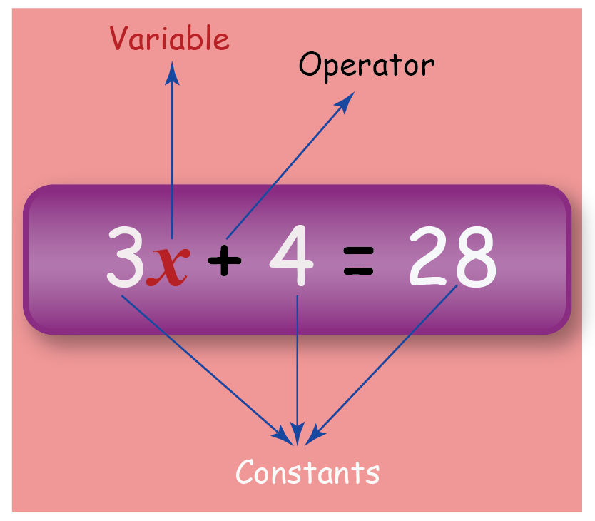 Algebraic Equations and Applications