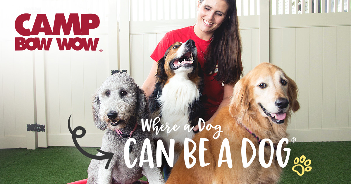 Camp Bow Wow Career Opportunities