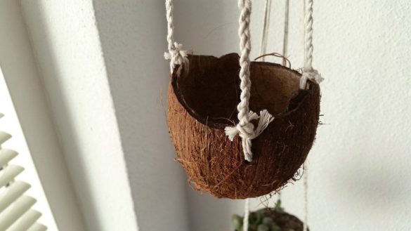 Coconut Bowls Planter