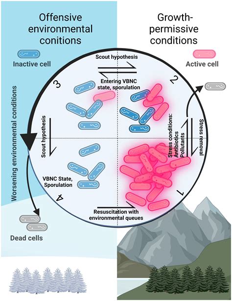 Cultivation and Isolation Image