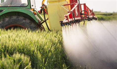 Glyphosate Safety Precautions