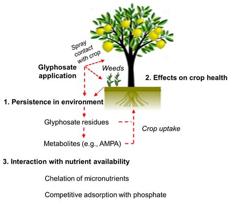 Glyphosate Soil Type