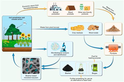 Mesotrione Environmental Impact