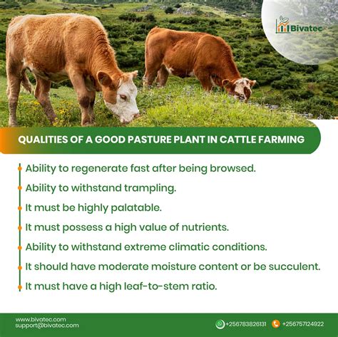 Pasture Management Guidelines