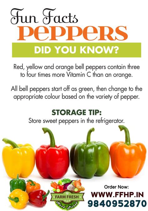 Pepper Fun Facts