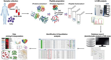 Proteomics in Biomarker Discovery