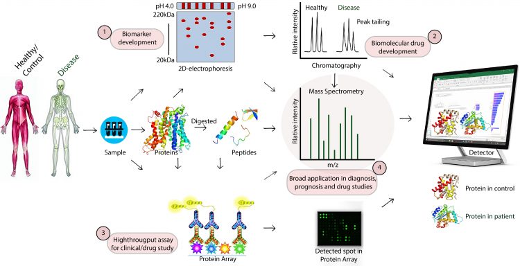 Proteomics Overview